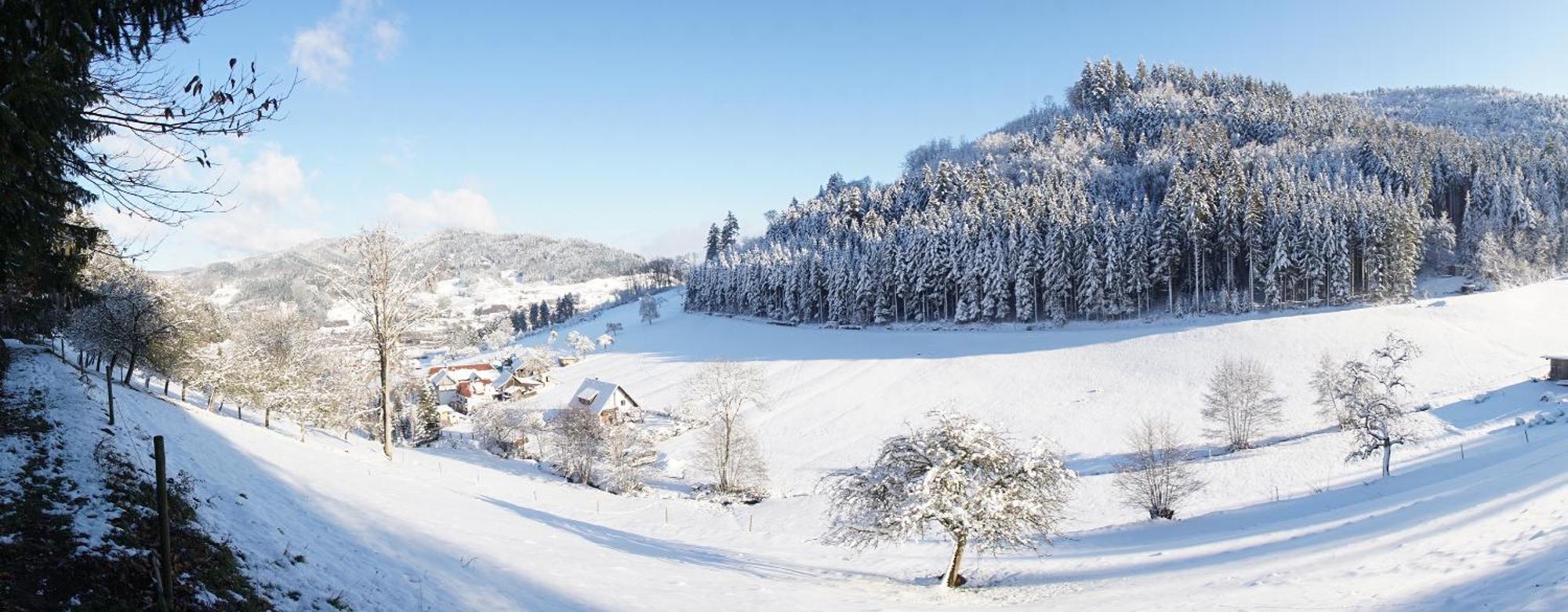 Muellerleile Hof Villa Haslach im Kinzigtal Exteriör bild