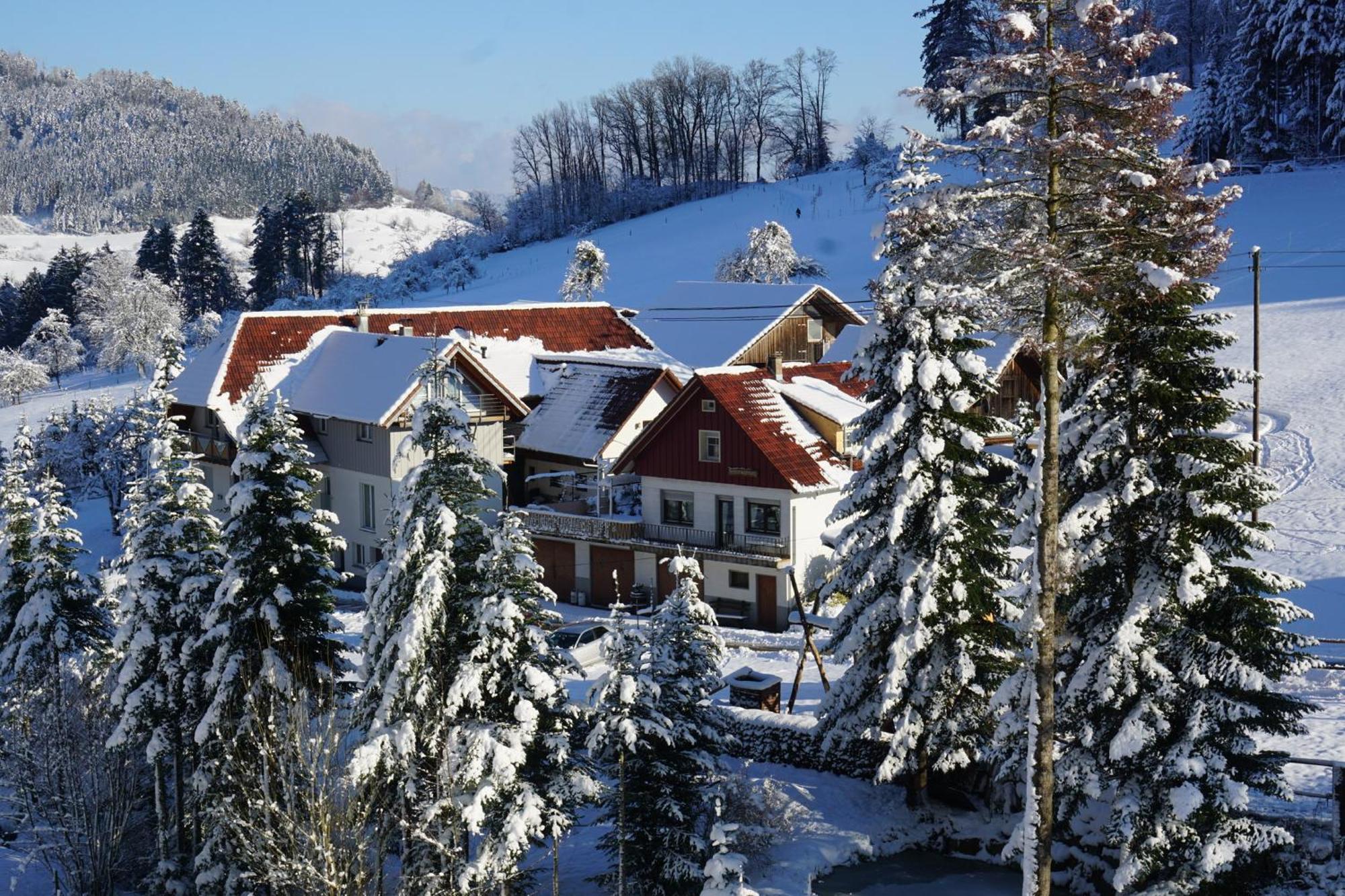 Muellerleile Hof Villa Haslach im Kinzigtal Exteriör bild