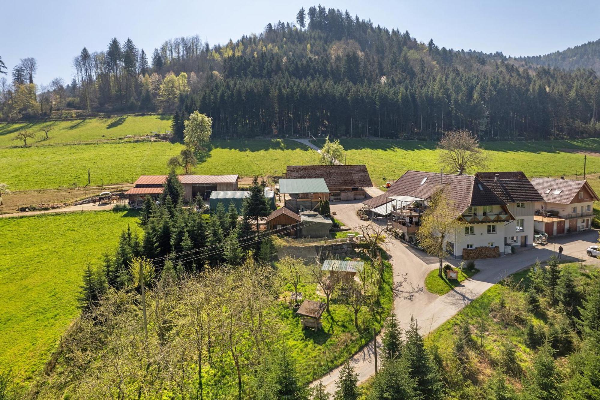 Muellerleile Hof Villa Haslach im Kinzigtal Exteriör bild